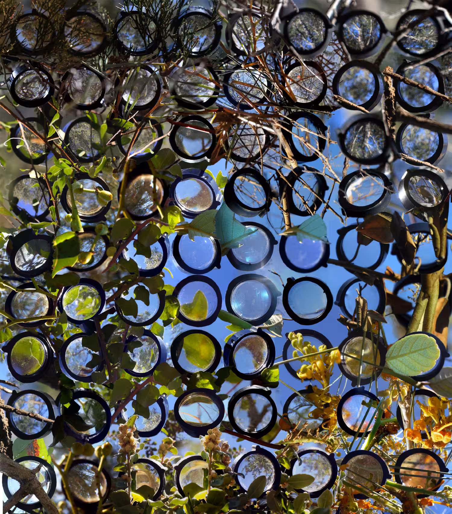 Glenda Orr, Multifocal Two