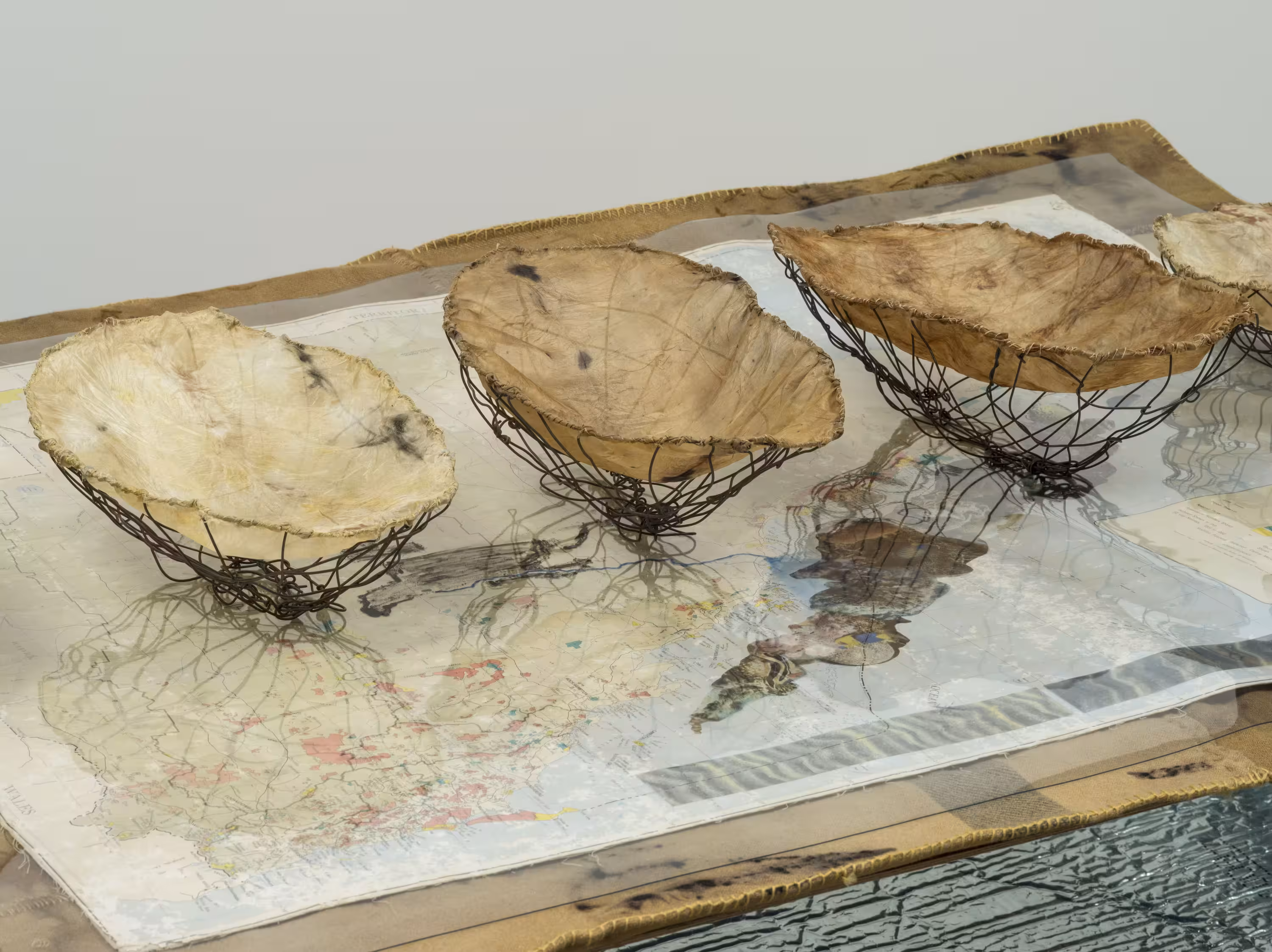 Jill Sampson, Vanishing Food Bowls