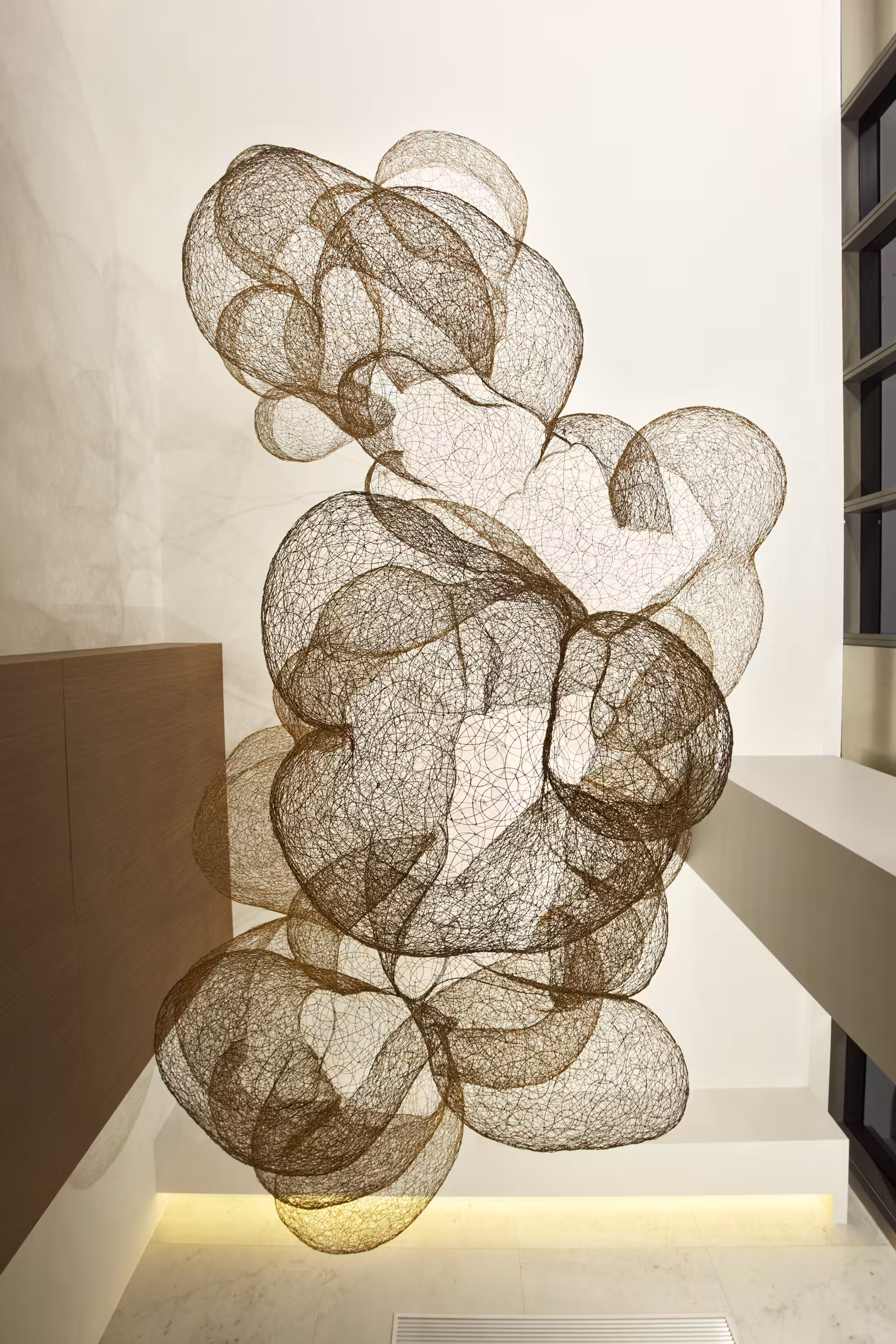 Carly Scoufos, Continuum